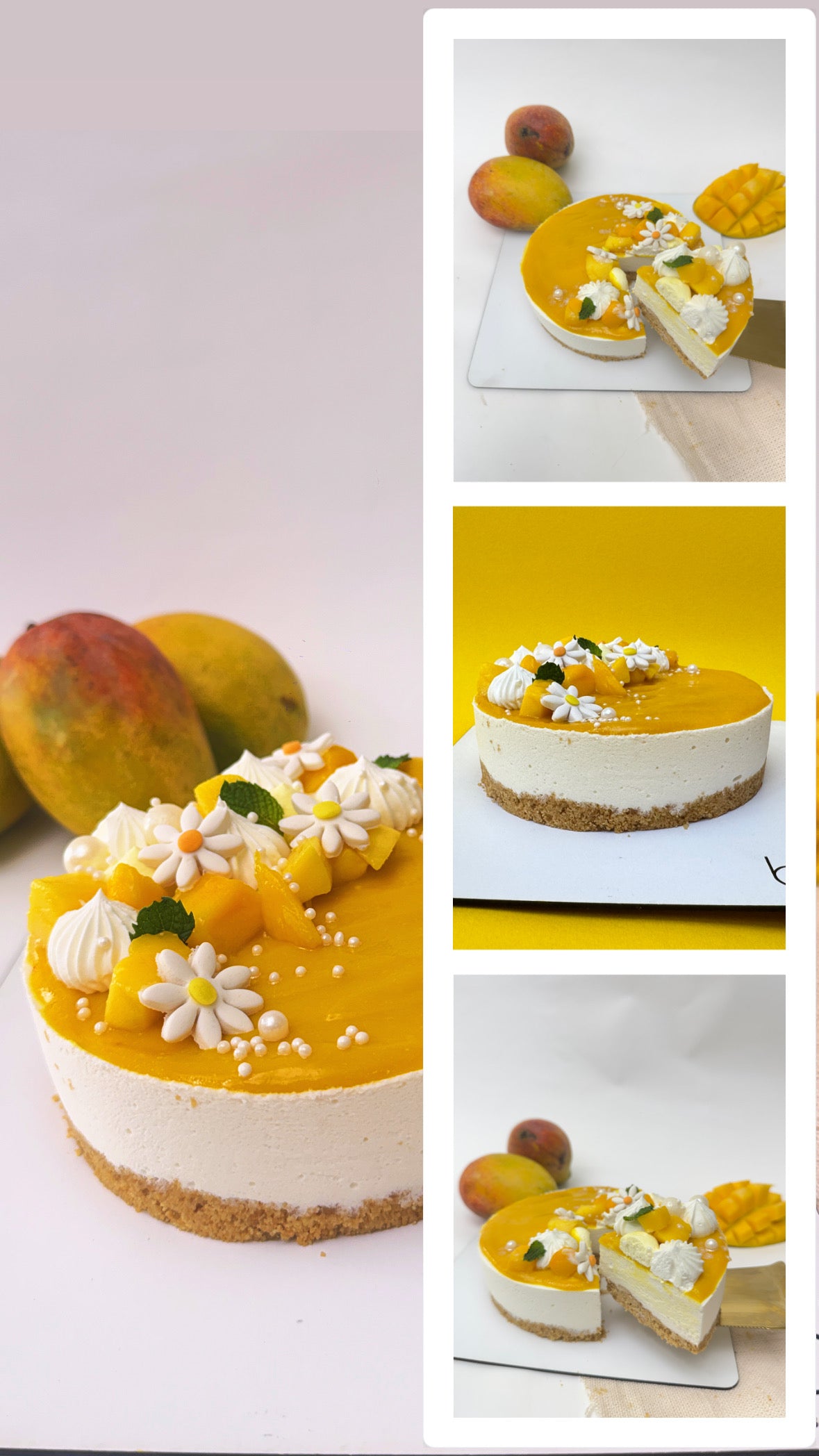 MANGO CHEESECAKE